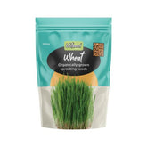 Untamed Health Wheat Organic Sprouting Seeds 100 g
