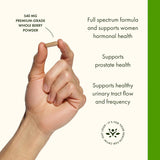 Swanson Premium Saw Palmetto 540mg, 250 Capsules