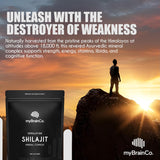 myBrainCo. Pure Himalayan Shilajit Mineral Complex 100 Servings 100g