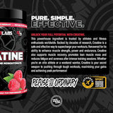Faction Labs Creatine Monohydrate 350g 50 serves Raspberry