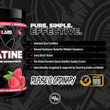 Faction Labs Creatine Monohydrate 350g 50 serves Raspberry