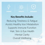 Ancestral Nutrition Primal Energy 120 Capsules Grass Fed Beef Liver