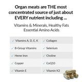 Ancestral Nutrition Primal Multi 100gm Powder