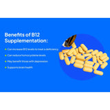 Deva Vegan Methyl B12 Sublingual 90 Tablets