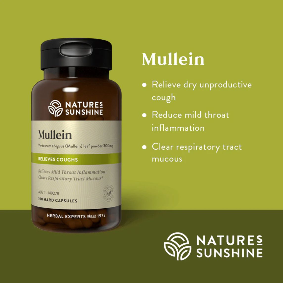 Nature's Sunshine Mullein supplement bottle on a green background with product details.