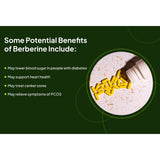 Switch Nutrition Berberine + 90 Capsules