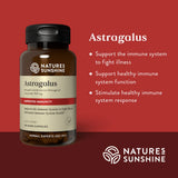Nature's Sunshine Astragalus 100 Capsules