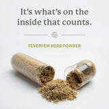 Nature's Sunshine Feverfew 100 Capsules