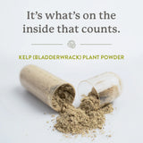 Nature's Sunshine Kelp 100 capsules