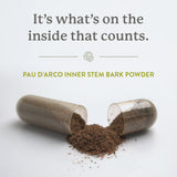 Nature's Sunshine Pau D'Arco 100 Capsules