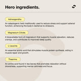 Switch Nutrition Adrenal Switch Blackcurrant Apple Magnesium Support Formula 180 g