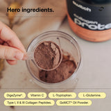 Switch Nutrition Collagen Switch Rich Chocolate Powder 938 g
