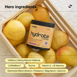 Switch Nutrition Hydrate + Caffeine Mango Passionfruit 50 Serves 300g