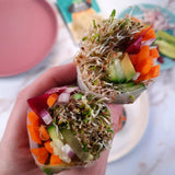 Untamed Health Earth Friendly Gluten-Free Alfalfa Sprouting Seeds 100 g