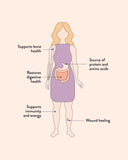 Nutra Organics Beef Bone Broth Adaptogenic Mushroom 125g