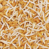 Untamed Health Fenugreek Earth Friendly Sprouting Seeds 100g