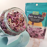 Untamed Health Organic Radish Red Rambo Sprouting Seeds 100 g
