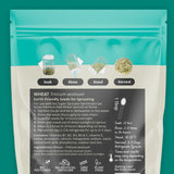 Untamed Health Wheat Organic Sprouting Seeds 100 g