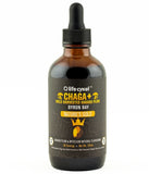 Life Cykel Chaga Extract 120ml
