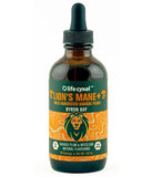 Life Cykel Lion's Mane Extract 120ml
