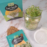 Untamed Health Organic Red Clover Sprouting Seeds 100g