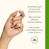 Swanson Premium Oregano Oil 150 mg 120 Softgels