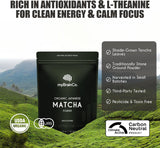 myBrainCo. USDA Organic Japanese Matcha 100 Servings (100g)