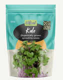 Untamed Health Organic Kale Sprouting Seeds 100 g