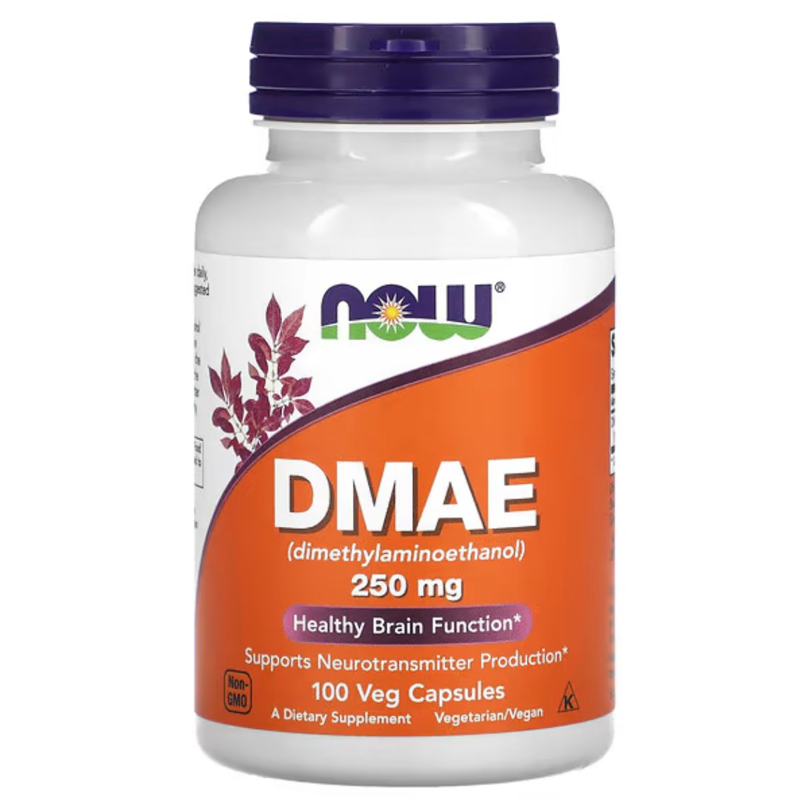 Now Foods DMAE 250mg 100 Capsules