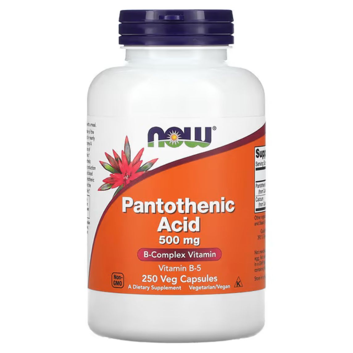 NOW Foods Pantothenic Acid 250 Capsules 500mg