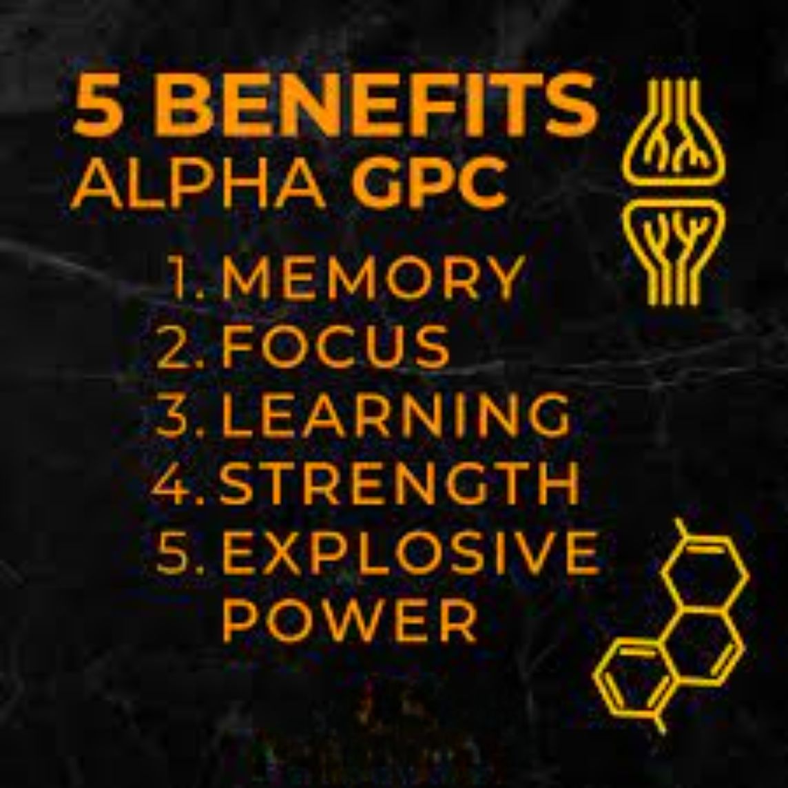 Switch Nutrition Alpha GPC 30gm