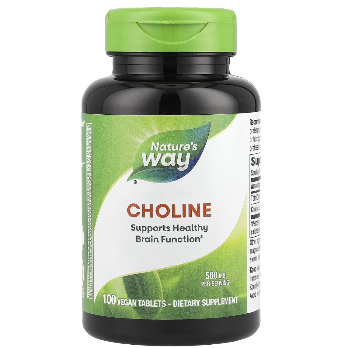 Nature's Way Choline 500mg 100 Tablets