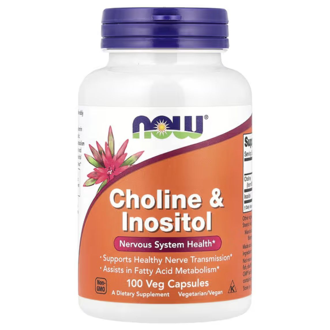 NOW Foods Choline & Inositol 500mg 100 Capsules