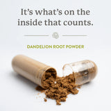 Nature's Sunshine Dandelion 100 Capsules