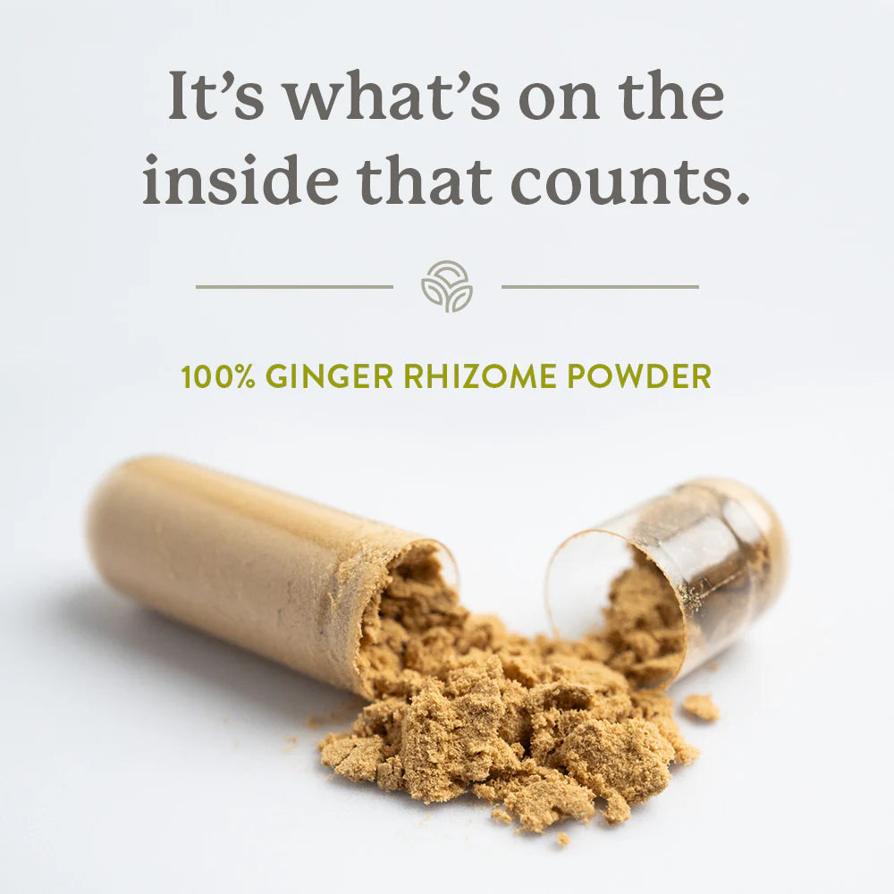 Nature's Sunshine Ginger 100 Capsules