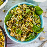 Untamed Health Mung Bean Sprouting Seeds 100g