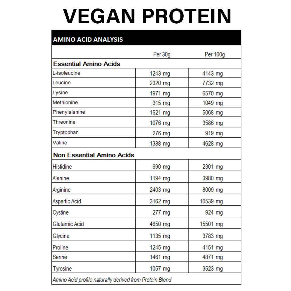 Rapid Supplements Vegan Protein Choc Brownie 1kg