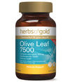 Herbs of Gold Olive Leaf 7500 60 Tablets
